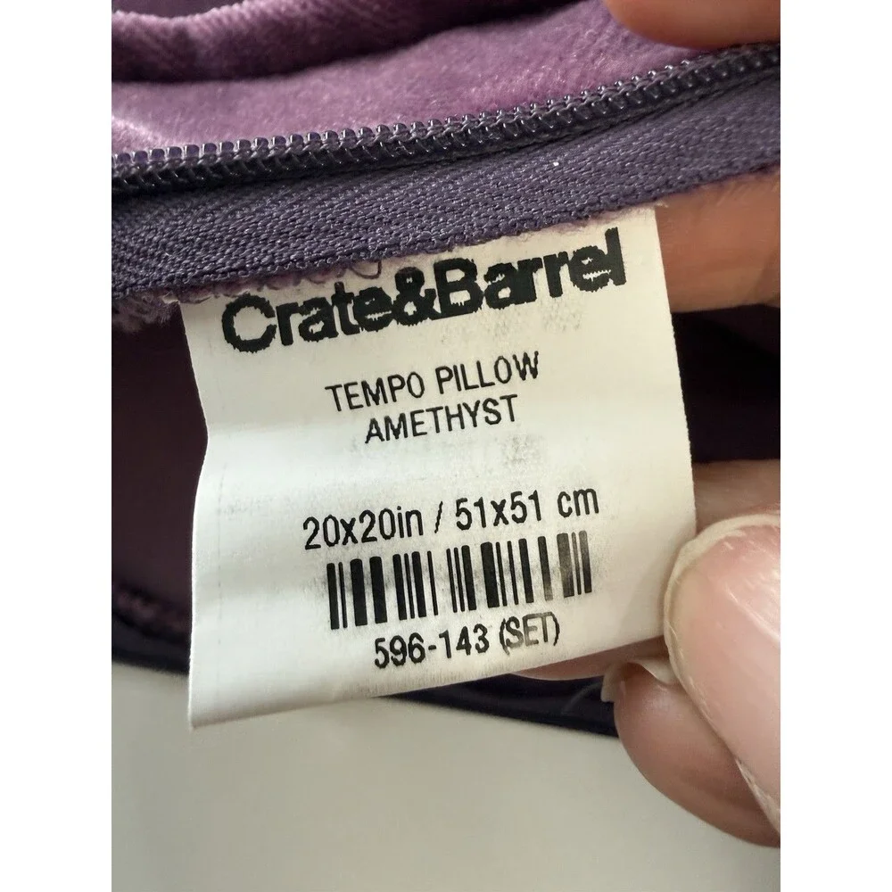 Crate & Barrel Tempo Amethyst Velvet 20x20 Decorative Pillow W/ Feather Insert